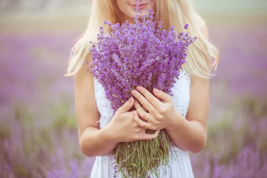 lavender body lotion